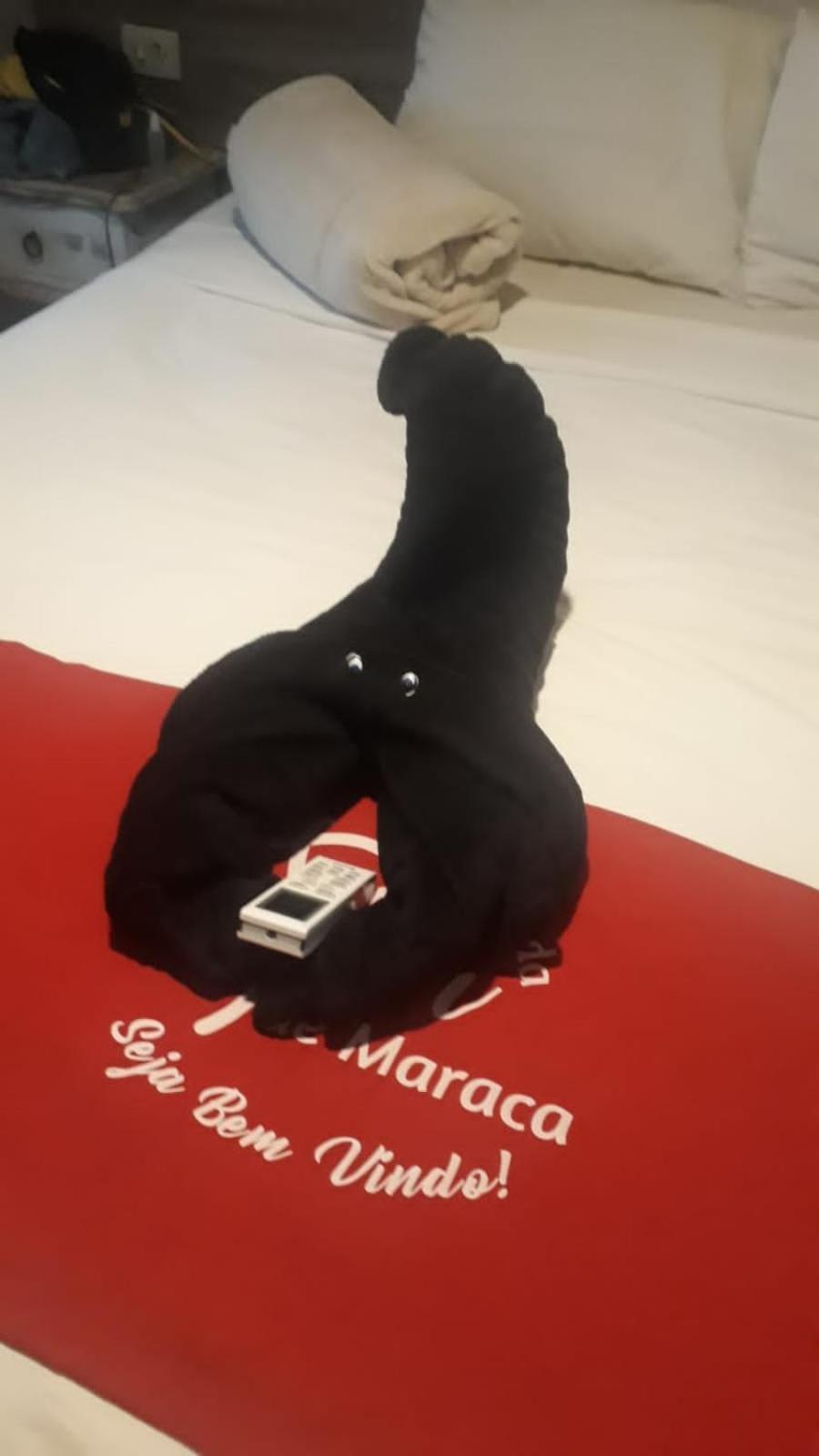 Pousada Flor De Maraca Pôrto das Galinhas Kültér fotó
