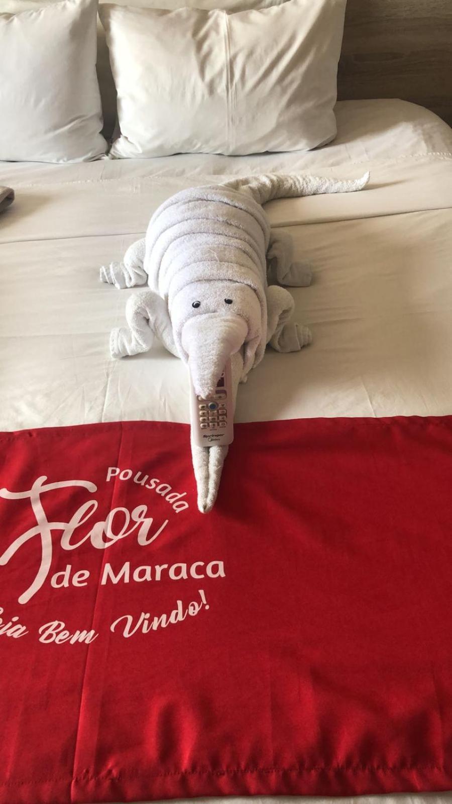 Pousada Flor De Maraca Pôrto das Galinhas Kültér fotó